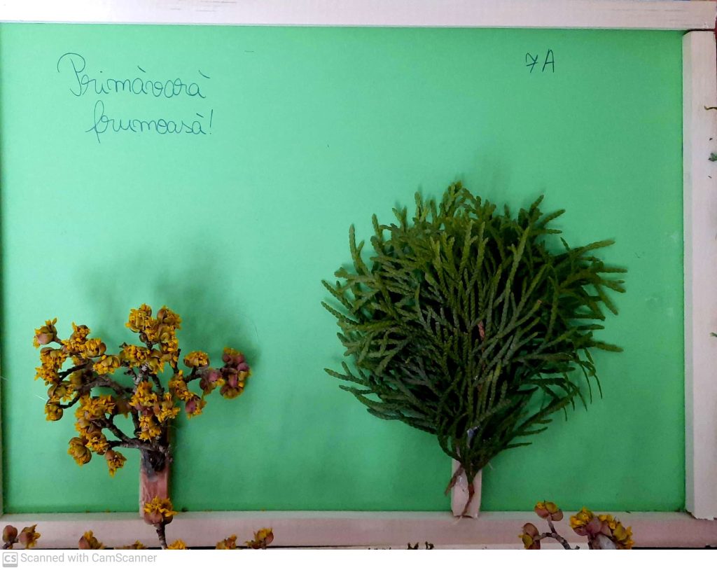 CamScanner 03-07-2022 15.12_10