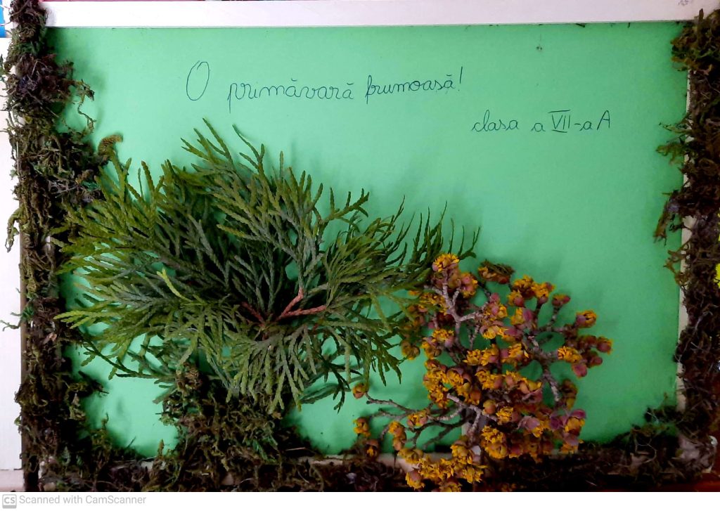 CamScanner 03-07-2022 15.12_11