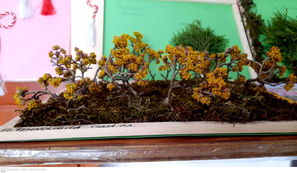 CamScanner 03-07-2022 15.12_12