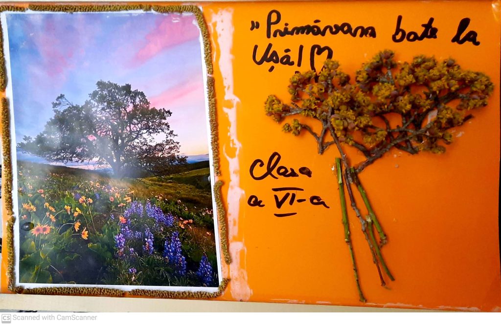 CamScanner 03-07-2022 15.12_3