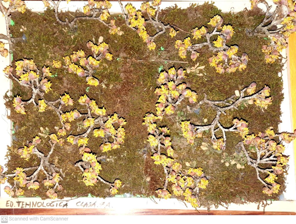 CamScanner 03-07-2022 15.12_8