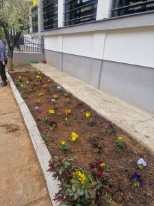 485653711_1323268405986621_1809817867297886675_n - Copie