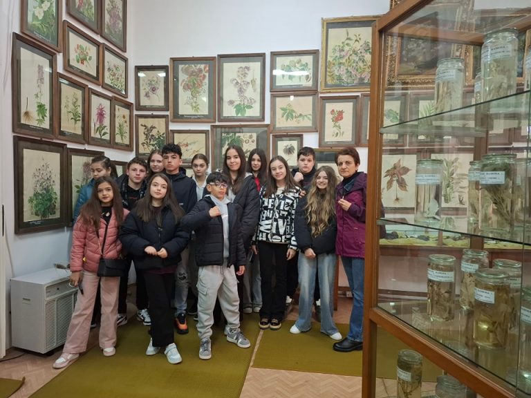 486301534_1323247259322069_7057400649374856277_n