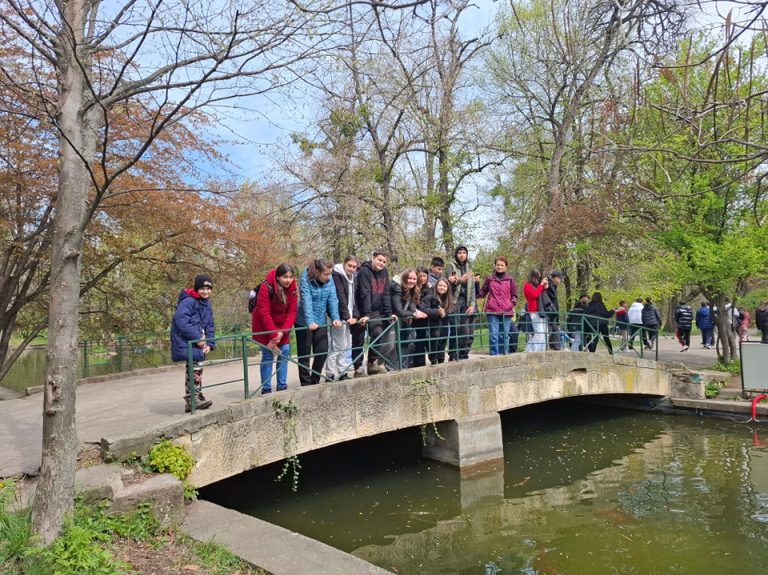 488006263_1323247099322085_6312320467221820568_n