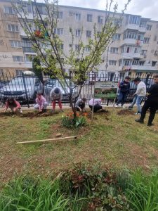 490010942_1323268042653324_6404105257939962567_n - Copie