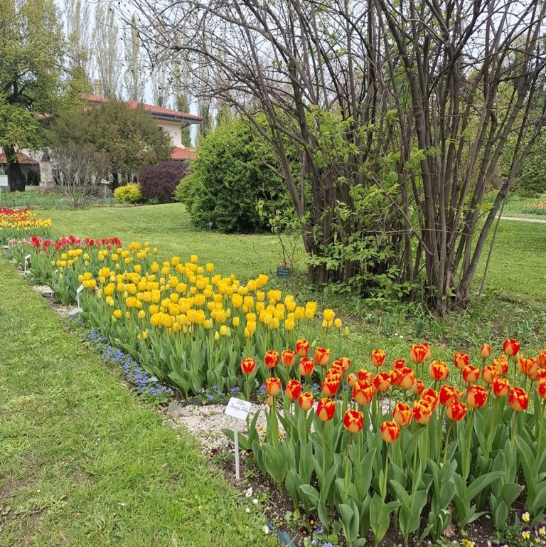 490091190_1323247632655365_5596575442532379267_n