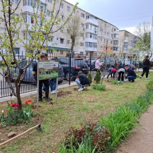 490192865_1323267802653348_3748343725431863436_n