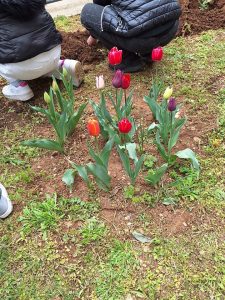 490520154_1323268205986641_6366456401097861540_n